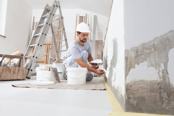 Best Drywall Removal and Disposal  in Fresno, TX